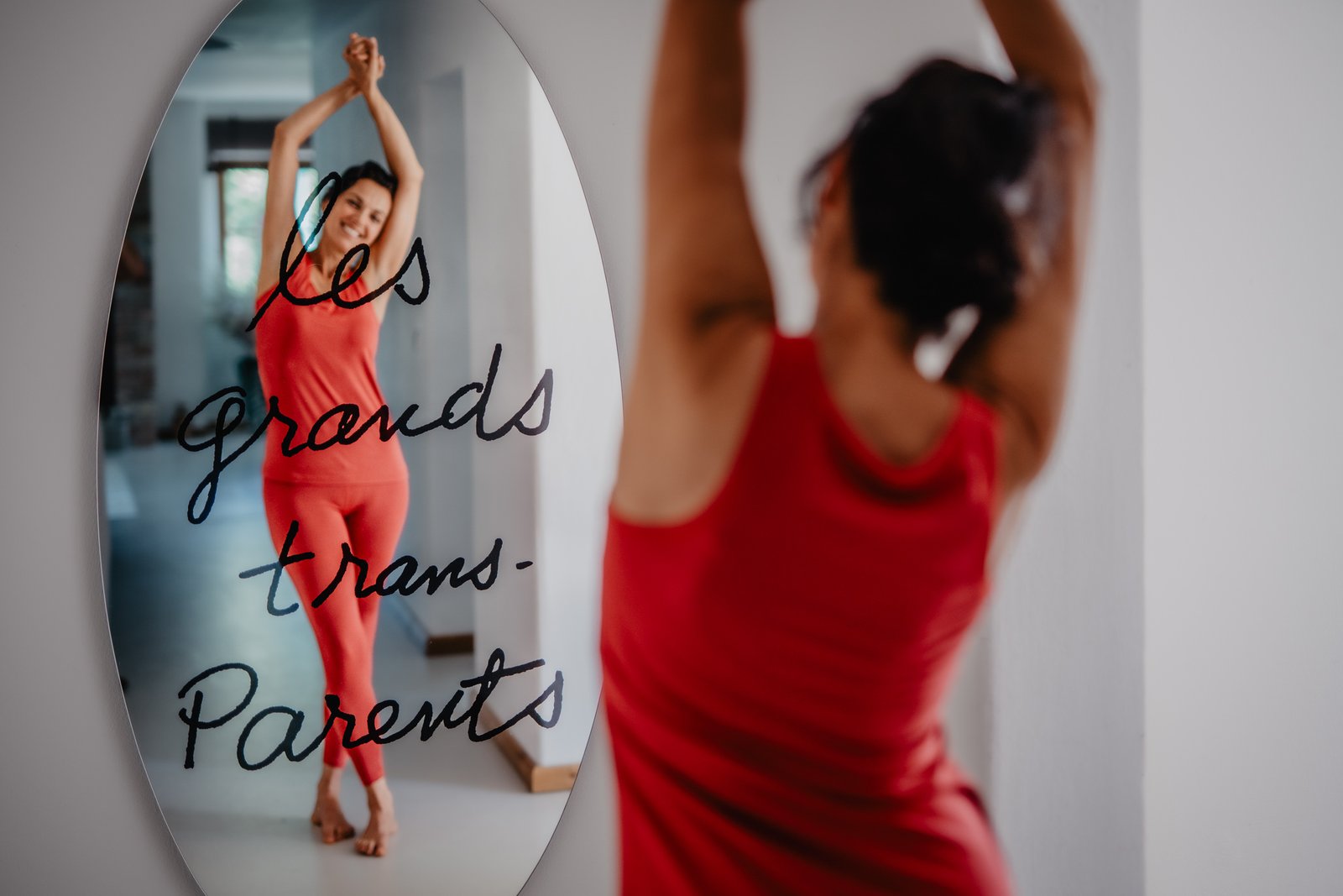 Spiegelbild — les grands trans-parents